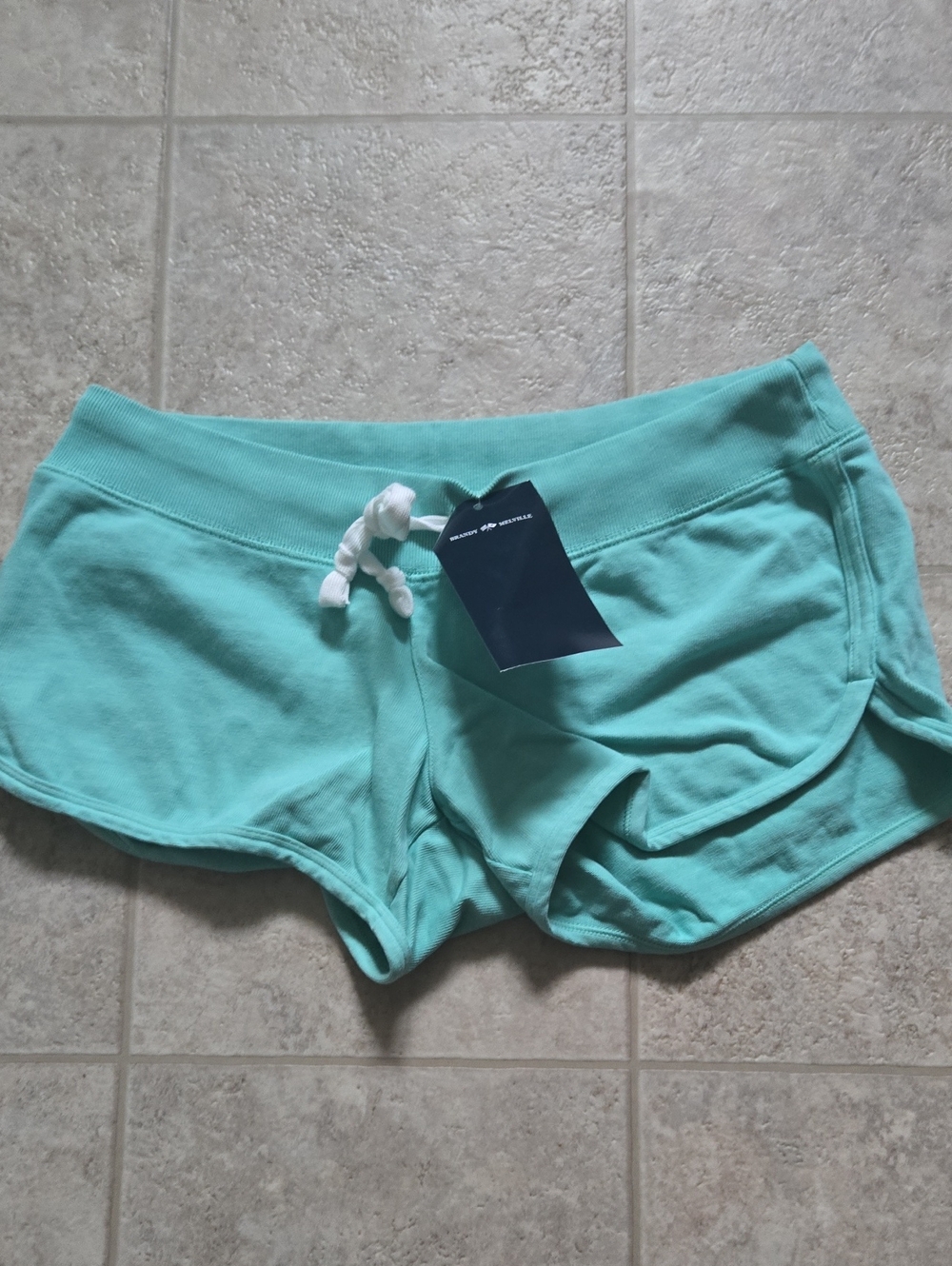 Brandy Melville Aqua/Turquoise Athletic Lounge Shorts